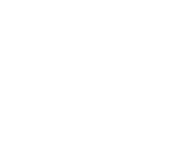 Electric Vehicle Icon